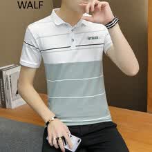 WALF ���� ��ʿT�� ��ɫ 