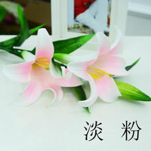 選玻璃花瓶，讓你的家不再單調