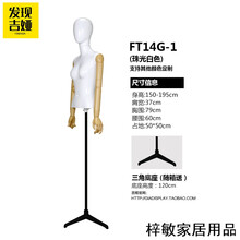 精美創(chuàng)意擺件，裝點(diǎn)溫馨生活