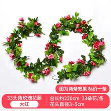 �鷿,��ô��,�鷿,�յ�,�յ�