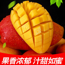 ���ڹ�����â