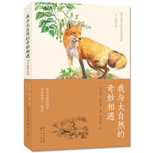 大自然奇妙