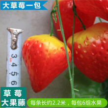 精美的花瓶，讓你愛上田園風(fēng)