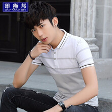 雄獅邦（XIONGSHIBANG） 短袖 男士T恤 灰色 