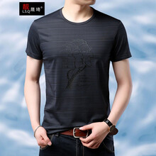靚晟琦（LIANGSHENGQI） 短袖 男士T恤 LSQ-YY-5313深灰 