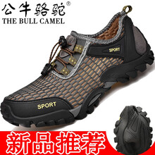 公牛駱駝（THE BULL CAMEL）男士M9325灰色 42