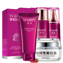 一枝春補(bǔ)水潔面乳