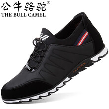 公牛駱駝（THE BULL CAMEL）男士PT30375增高黑色 42