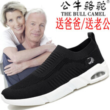 公牛駱駝（THE BULL CAMEL）男士G901黑色 41