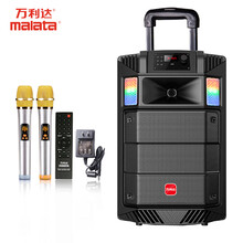 萬利達(dá)（Malata） M+9033 音箱/音響 彩燈款刀鋒系列雙U話筒-12英寸