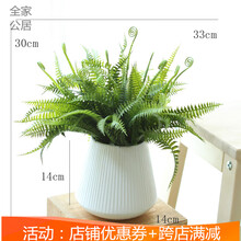 精致花瓶點(diǎn)綴，讓生活不再單調(diào)