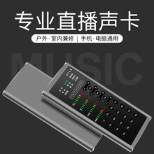 SueFer  支撐式 麥克風(fēng) 單個(gè)聲卡（灰色）