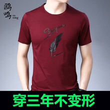 鷗鳴（ouming） 短袖 男士T恤 紅色（黑羽毛） 