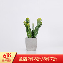 創(chuàng  )意花瓶，為你的家增添色彩