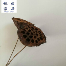 創(chuàng)意玻璃花瓶，營(yíng)造浪漫田園風(fēng)