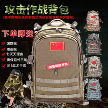 3d戰(zhàn)術(shù)背包