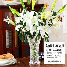 簡(jiǎn)約花瓶，讓你的客廳更浪漫