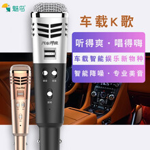 魅鳥(niǎo) 汽車(chē)神麥 手持 麥克風(fēng) 魅鳥(niǎo)汽車(chē)神麥標(biāo)配版（流星銀）