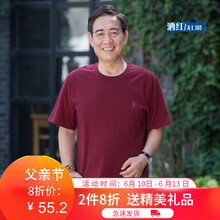 雷迪倫（leidilun） 短袖 男士T恤 棗紅 