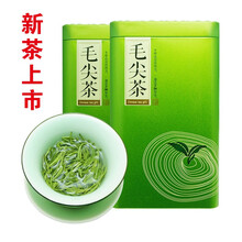 有机毛尖绿茶