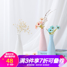 一盞精美花瓶，打造浪漫田園風(fēng)