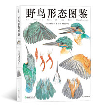 野鳥形態(tài)圖鑒