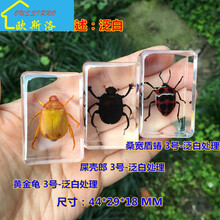 輕奢陶瓷擺件，讓生活更溫馨