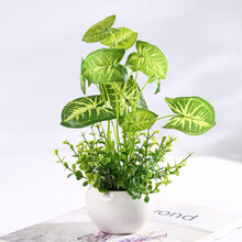 創(chuàng)意玻璃花瓶，讓家不再單調(diào)！