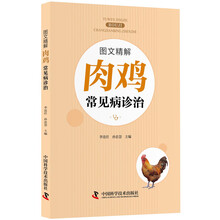 肉雞