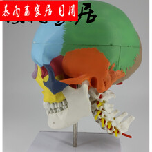 精致實(shí)木擺件，裝點(diǎn)你的藝術(shù)生活