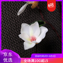 精致玻璃花瓶，打造浪漫家居生活