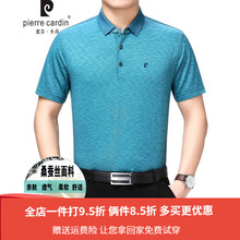 皮爾卡丹（pierrecardin） 短袖 男士T恤 01h18綠色 