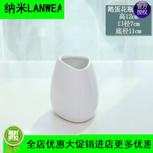 簡約花瓶，打造精致生活的藝術(shù)
