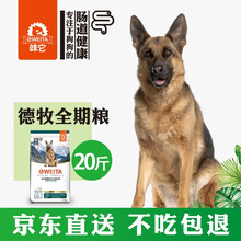 寵物德國牧羊犬