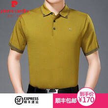 皮爾卡丹（pierrecardin） 短袖 男士T恤 29168-黃色 
