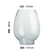 精致生態(tài)花瓶，讓你的家煥然一新