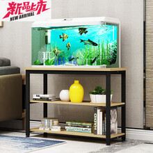 精致塑料擺件，打造溫馨家居生活