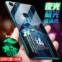 睿銳 vivoy73 手機殼/保護套