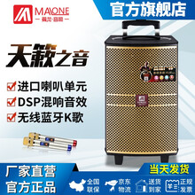 拉桿8寸電瓶音箱