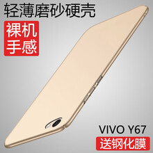 vivoy67香檳金
