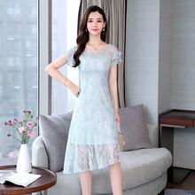 VEGA VESTURE 純色 拉鏈，蕾絲 連衣裙