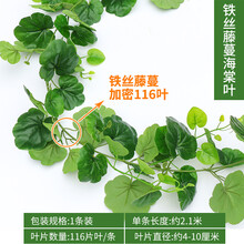 仿真,仿真,怎么樣,室內(nèi),室內(nèi),水果,水果