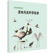 濕地
