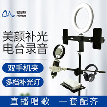 魅聲 T8-6-320 懸掛式 麥克風(fēng) 黑色（帶落地支架）