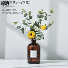 精致家居擺件，打造溫馨客廳氛圍