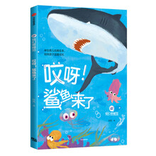 鯊魚(yú)