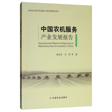 中國(guó)產(chǎn)業(yè)發(fā)展報(bào)告