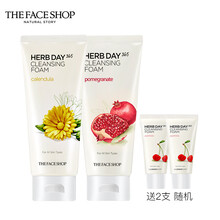 菲詩小鋪（The Face Shop）潔面乳 170g+170g+25g+25g