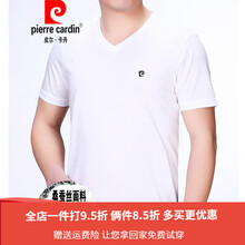 皮爾卡丹（pierrecardin） 短袖 男士T恤 白色08195165 