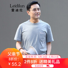 雷迪倫（leidilun） 短袖 男士T恤 淺花灰 